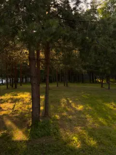 Фото гостя 11 — Дом 4-местный на улице Крутецкой, 55 м², Александров