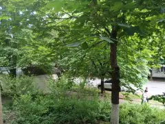 Фото гостя 1 — Квартира двухкомнатная на улице Андрея Губина, 55 м², Кисловодск