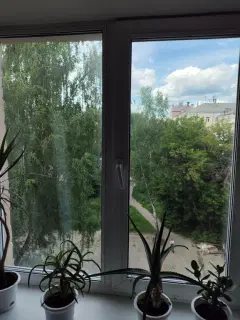 Фото гостя 8 — Квартира однокомнатная у Чкаловской, в Химмаше, 31 м², Екатеринбург