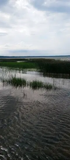 Фото гостя 12 — Квартира двухкомнатная в переулке Призывном, 59 м², Переславль-Залесский