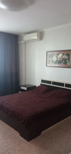Фото гостя 1 — Квартира однокомнатная в Советском, 48 м², Красноярск
