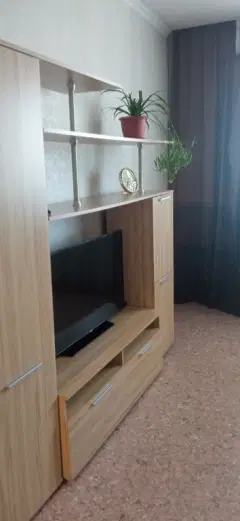 Фото гостя 6 — Квартира однокомнатная в Советском, 48 м², Красноярск