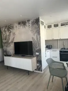 Фото гостя 1 — Квартира однокомнатная в Советском, 33 м², Тула