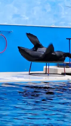 Фото гостя 1 — Квартира однокомнатная на улице Ермолова, 33 м², Кисловодск