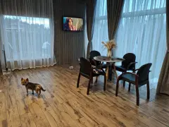 Фото гостя 6 — Дом 4-местный в КП Клеверной бухте, 55 м², Поляны