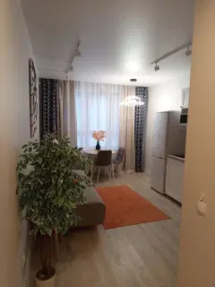 Фото гостя 12 — Квартира однокомнатная у Чкаловской, в Канавино, 41 м², Нижний Новгород