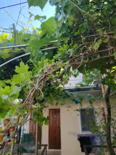 Фото гостя 4 — Квартира однокомнатная на улице Терской, 18 м², Анапа