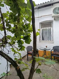 Фото гостя 1 — Квартира однокомнатная на улице Дзержинкого, 26 м², Пятигорск