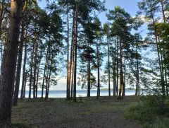 Фото гостя 8 — Дом 10-местный в СНТ Надежде, 90 м², Деревянное