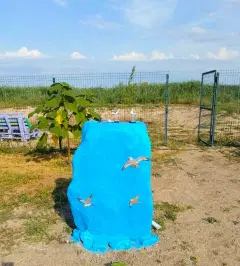 Фото гостя 3 — гостевой дом «Ростовчанка», Должанская