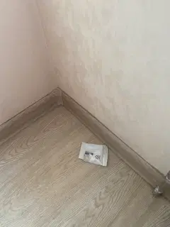 Фото гостя 3 — Студия однокомнатная в Советском, 38 м², Красноярск
