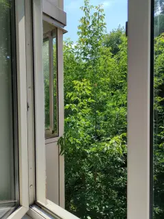 Фото гостя 1 — Квартира однокомнатная на улице Сарыгина, 32 м², Кемерово