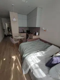 Фото гостя 5 — Студия однокомнатная в Пушкинском, 26 м²