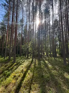 Фото гостя 9 — Дом 6-местный на улице Магистральной, 80 м², Медвежьегорск