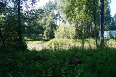 Фото гостя 8 — Дом 5-местный в посёлке Ленинском, 45 м², Первомайское