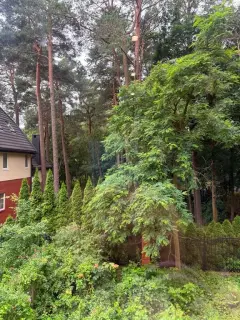 Фото гостя 6 — Квартира двухкомнатная на улице Бахе, 50 м², Светлогорск