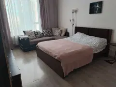 Фото гостя 1 — Квартира однокомнатная у метро Ботанический сад, 40 м², Москва