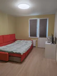 Фото гостя 3 — Квартира двухкомнатная в Советском, 55 м², Нижний Новгород