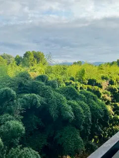 Фото гостя 1 — Квартира однокомнатная на улице Нагорном Тупике, 35 м², Сириус