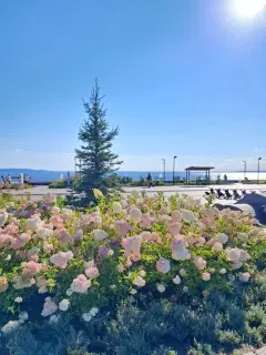 Фото гостя 2 — Квартира двухкомнатная на бульваре Приморском, 63 м², Тольятти