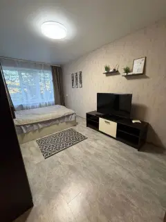 Фото гостя 3 — Квартира однокомнатная на улице Вокзальньной, 30 м², Кемь