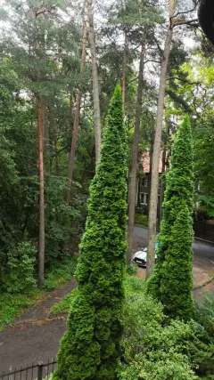 Фото гостя 1 — Квартира двухкомнатная на улице Садовой, 45 м², Светлогорск