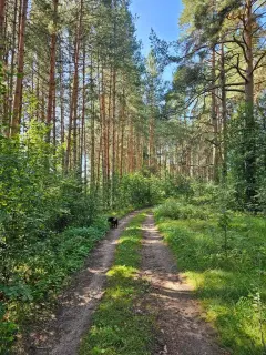Фото гостя 6 — Дом 2-местный в деревни Топороке, 20 м², Дубна
