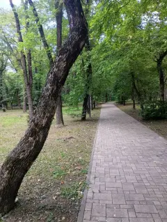Фото гостя 2 — Квартира двухкомнатная на улице Фрунзе, 30 м², Ессентуки
