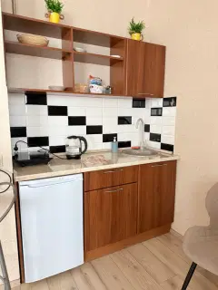Фото гостя 7 — Квартира однокомнатная в Советском, 46 м², Красноярск