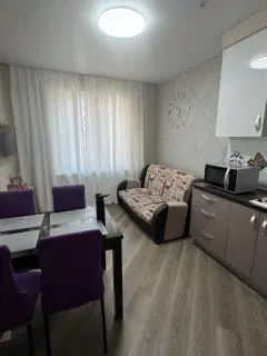 Фото гостя 1 — Квартира однокомнатная на улице Еремеева, 33 м², Петрозаводск