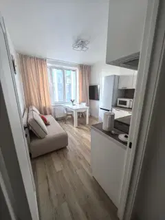 Фото гостя 2 — Квартира однокомнатная у Октябрьской, в Октябрьском, 52 м², Новосибирск