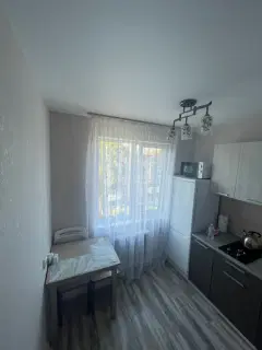 Фото гостя 4 — Квартира однокомнатная на проспекте Рижском, 32 м², Псков