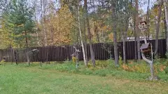 Фото гостя 4 — база отдыха «Уют», Мурманск