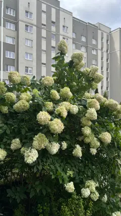 Фото гостя 6 — Квартира однокомнатная в Ленинградском, 42 м², Калининград
