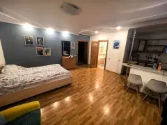 Фото гостя 1 — Квартира однокомнатная в Железнодорожном, 46 м², Красноярск