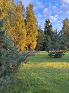 Фото гостя 1 — Коттедж 4-местный на острове имени Белова, 25 м², Псков