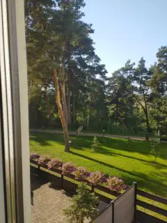 Фото гостя 1 — Квартира однокомнатная на улице Почтовой, 50 м², Рязань