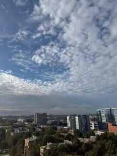 Фото гостя 1 — Квартира однокомнатная у Электры, в Московском, 27 м², Санкт-Петербург