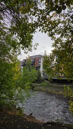 Фото гостя 9 — Квартира двухкомнатная на площади Литейной, 42 м², Петрозаводск