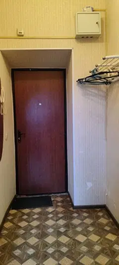 Фото гостя 1 — Квартира однокомнатная у Уделки, в Выборгском, 33 м², Санкт-Петербург