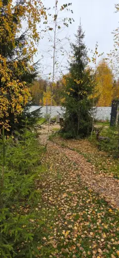 Фото гостя 1 — Дом 6-местный в деревни Гомово, 80 м², Истра