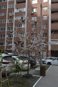 Фото гостя 1 — Квартира однокомнатная у Московской, в Октябрьском, 35 м², Самара