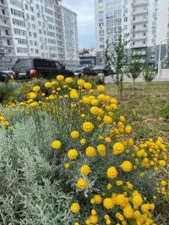 Фото гостя 6 — Квартира однокомнатная в Гагаринском, 42 м², Севастополь