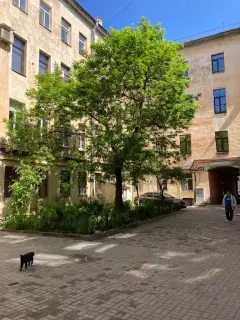 Фото гостя 3 — Квартира трёхкомнатная у Сада, в Адмиралтейском, 45 м², Санкт-Петербург