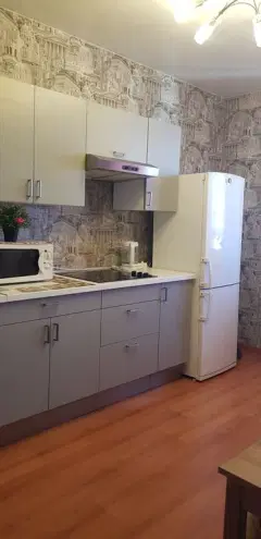 Фото гостя 1 — Апартаменты однокомнатные у Горьковской, в Кузнечихе, 45 м², Нижний Новгород