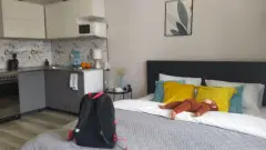Фото гостя 6 — Студия однокомнатная в Советском, 30 м², Красноярск