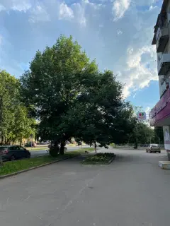 Фото гостя 4 — Квартира трёхкомнатная на улице Стратилатовской, 42 м², Великий Новгород