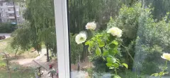 Фото гостя 5 — Квартира однокомнатная у Московской, в Канавино, 33 м², Нижний Новгород