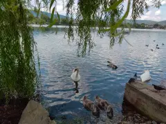 Фото гостя 1 — Студия однокомнатная на улице Рябиновой, 25 м², Горячий Ключ