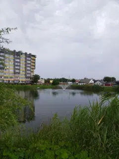 Фото гостя 8 — Квартира однокомнатная на улице Тургенева, 46 м², Зеленоградск